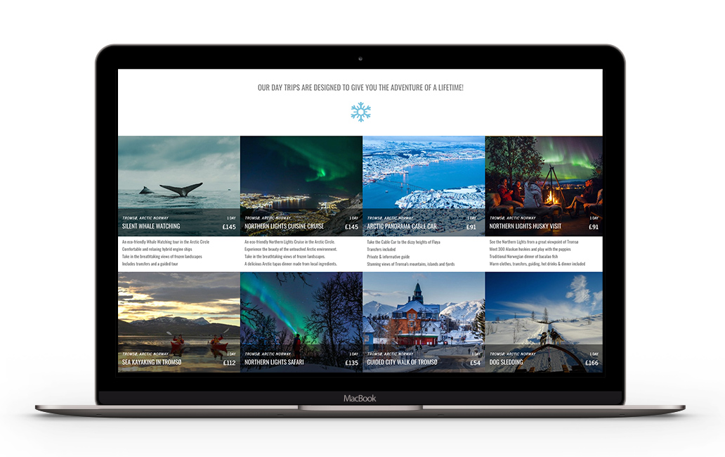 arctic-holiday-macbook Arctic Holiday website